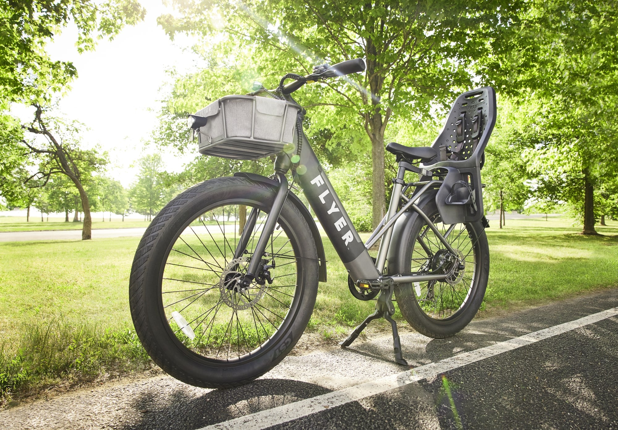 Flyer eBike